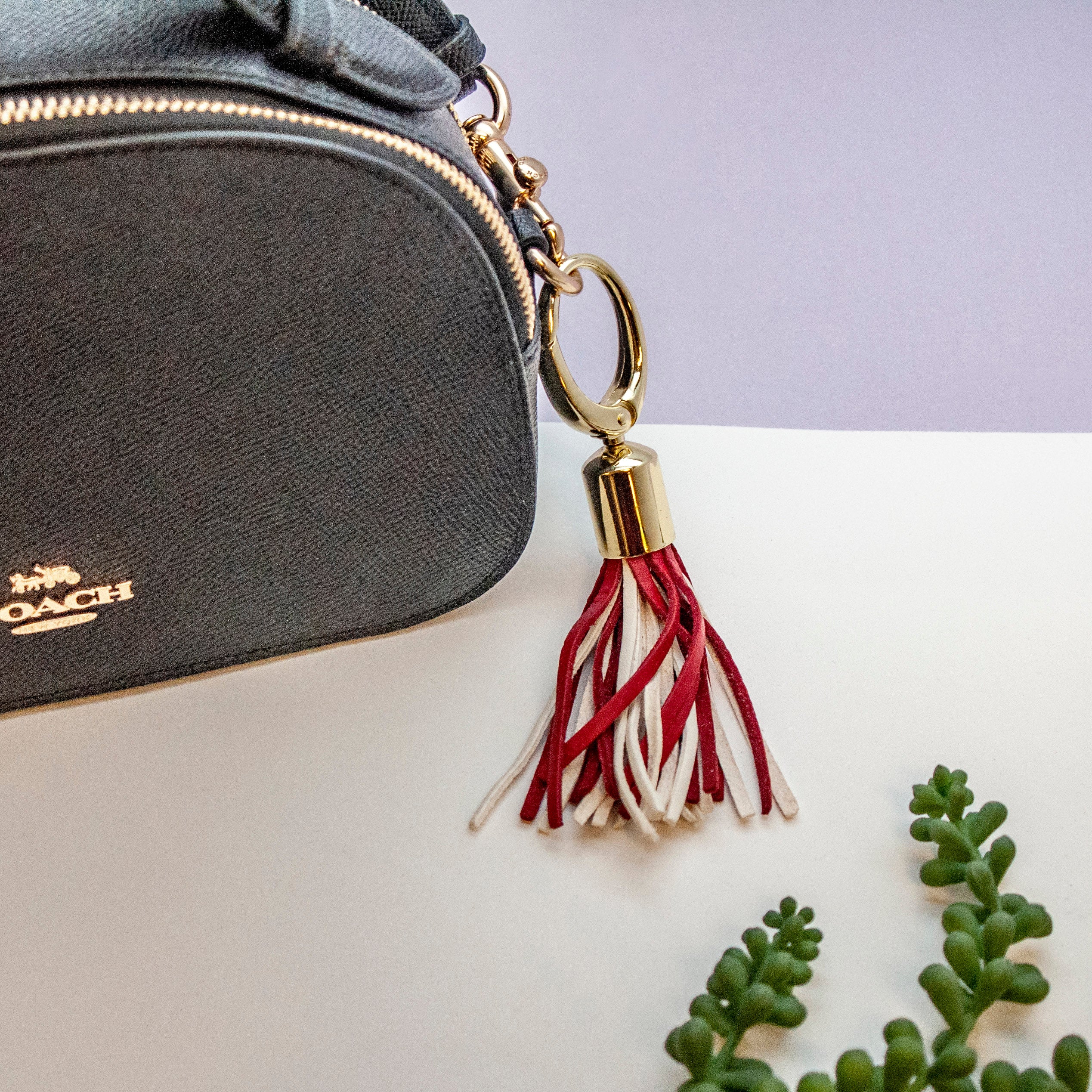 Tassel Clip