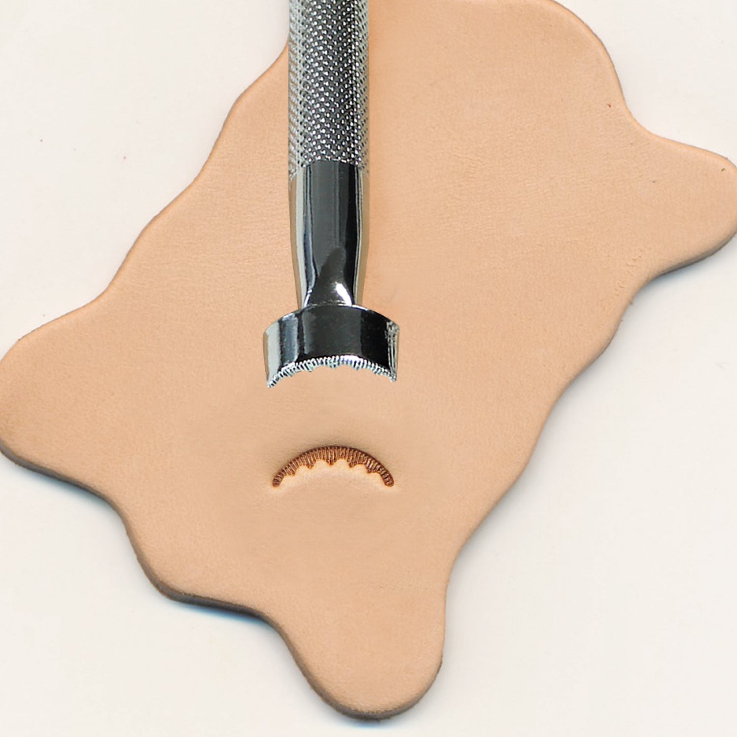 BW5 Veiner Stamping Tool