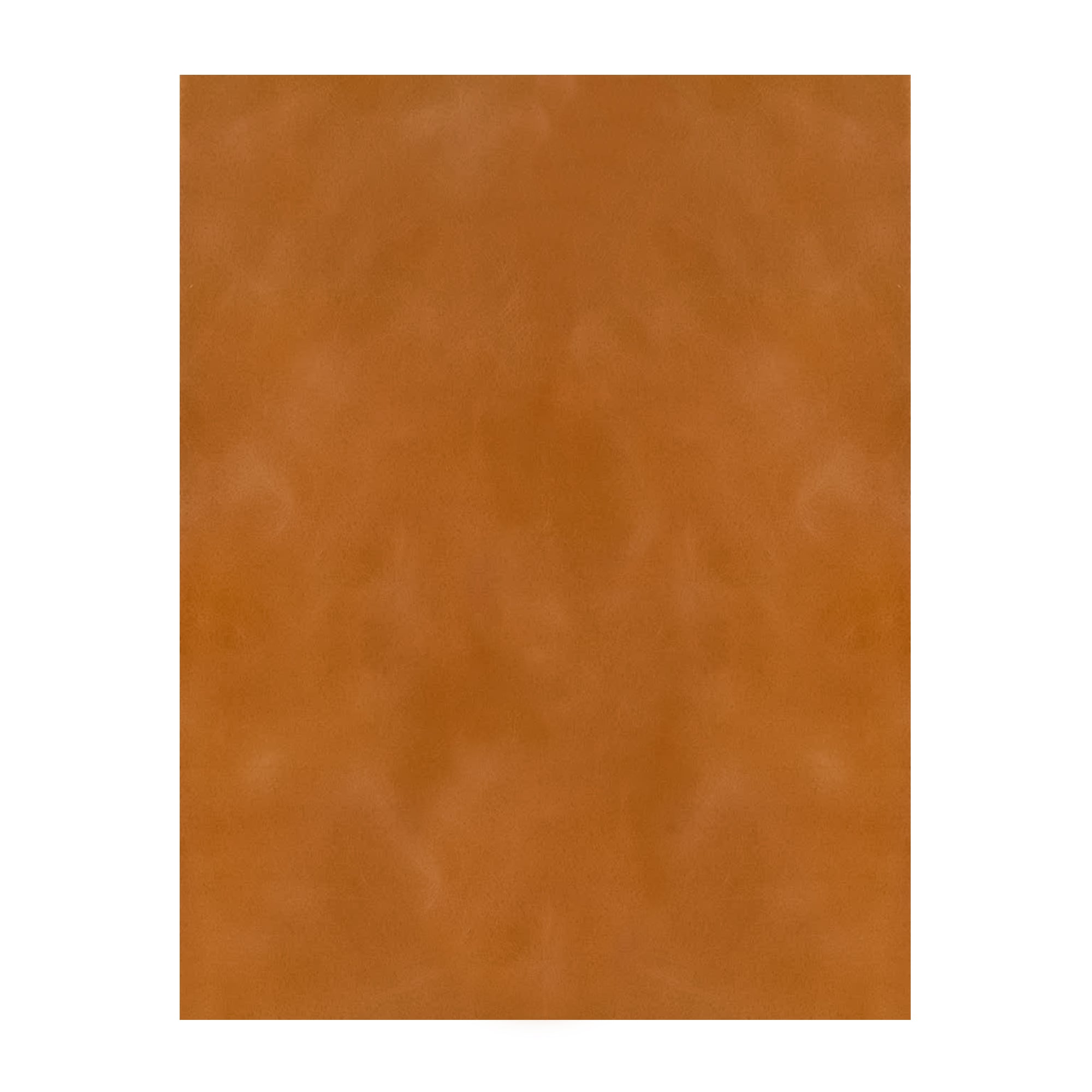 Premium Trim Leather, 8.5" x 11"