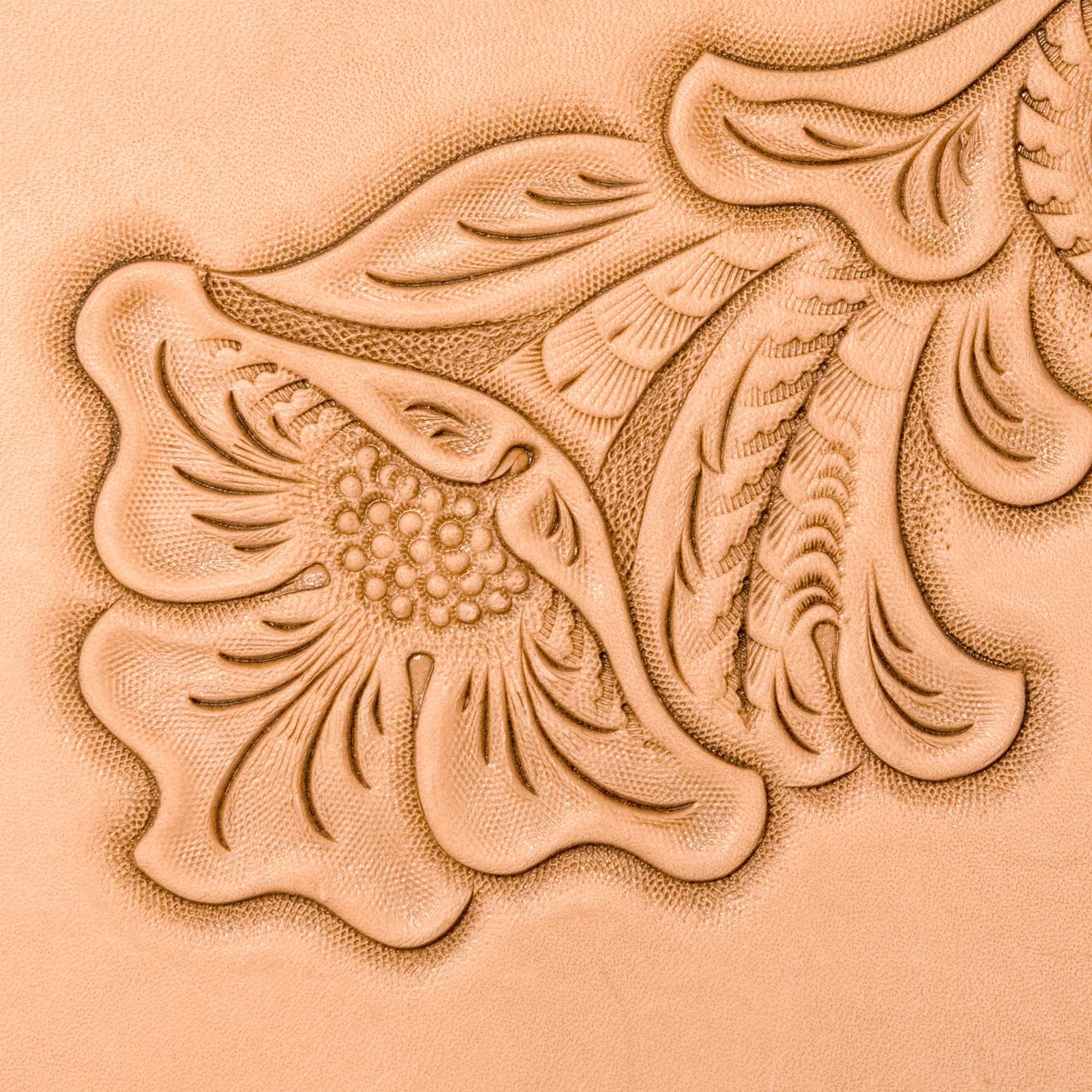 Tooling Leather Variety Pack, 8.5"x11"