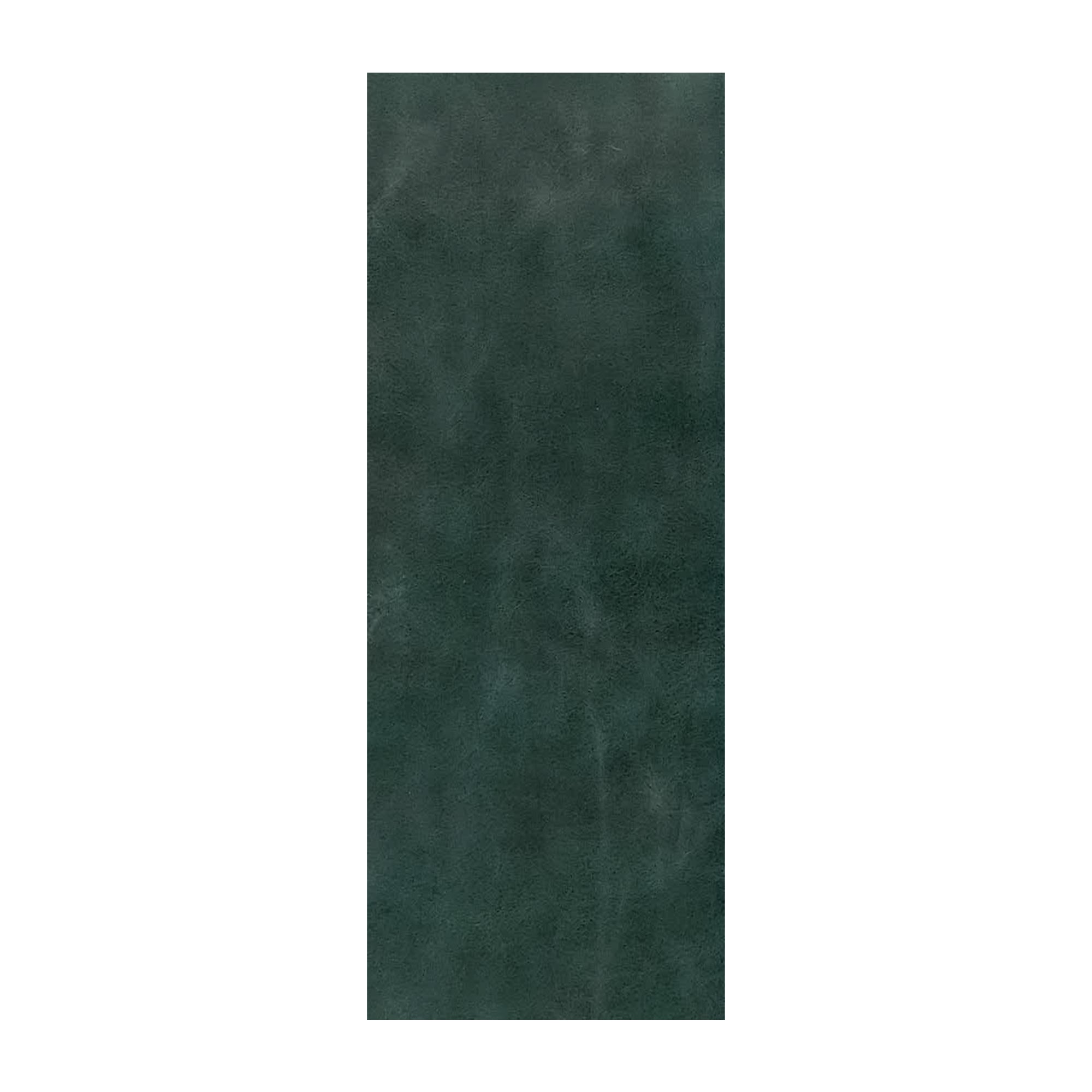 Leather Trim Piece