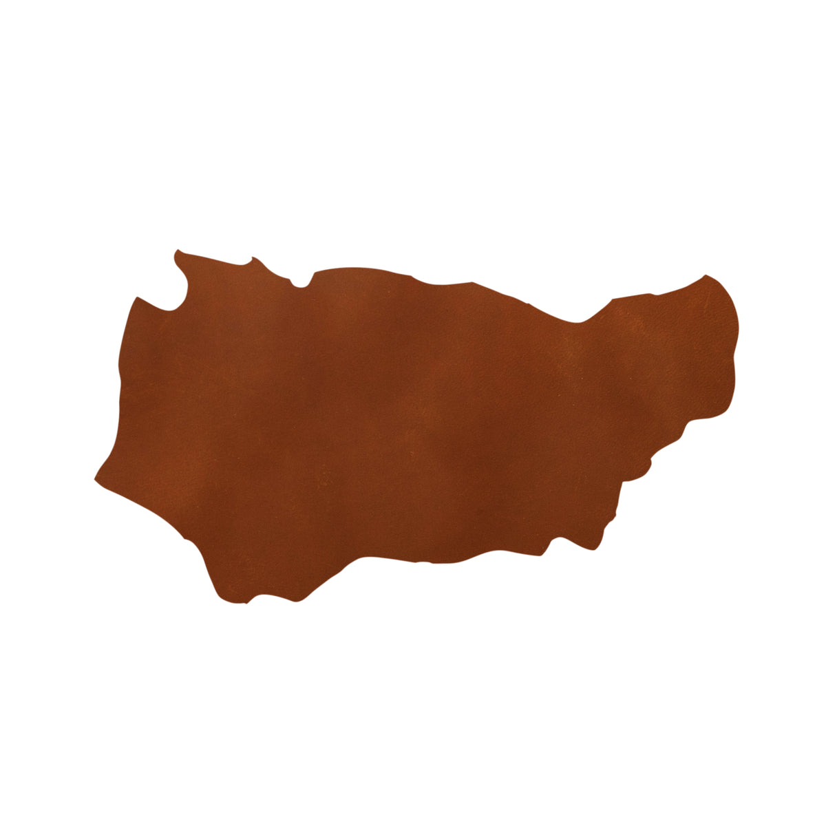 Triumph Leather Side, Rustic