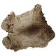Rabbit Skins