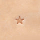 O53 - Star Stamp
