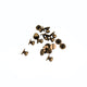 Button Studs