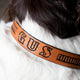 Dog Collar Kit