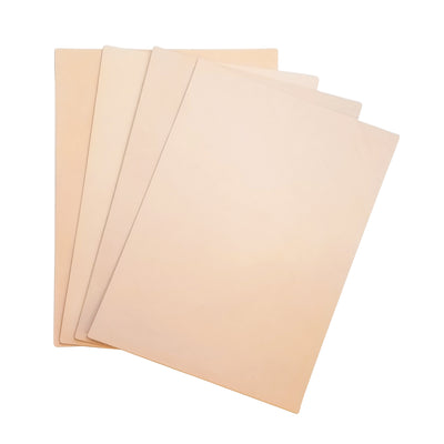 Tooling Leather Variety Pack, 8.5"x11"
