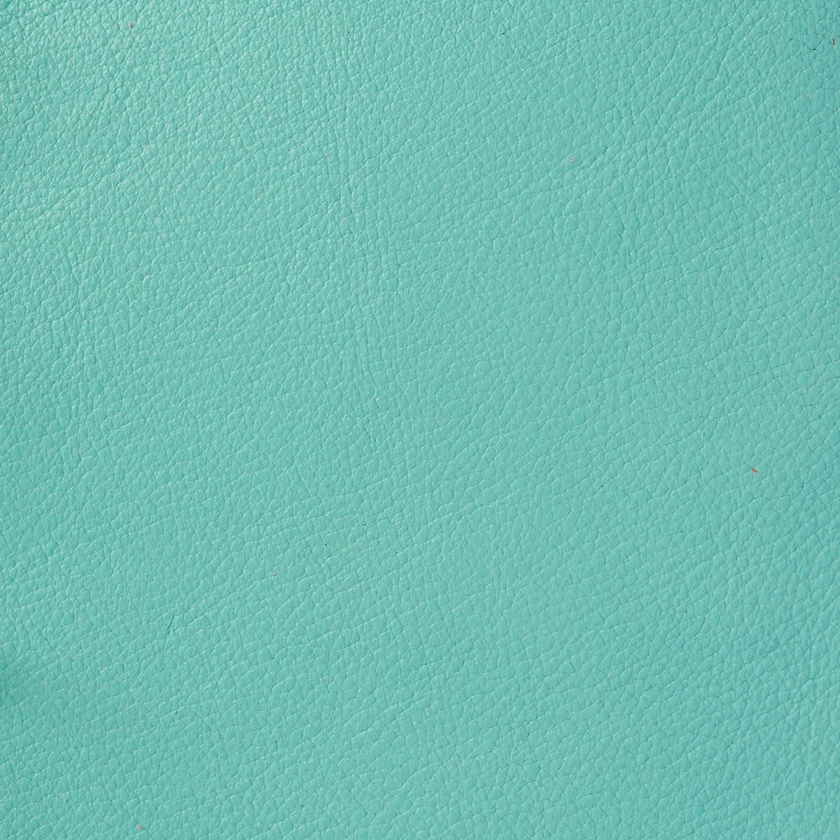 Delux Cowside Side, Turquoise