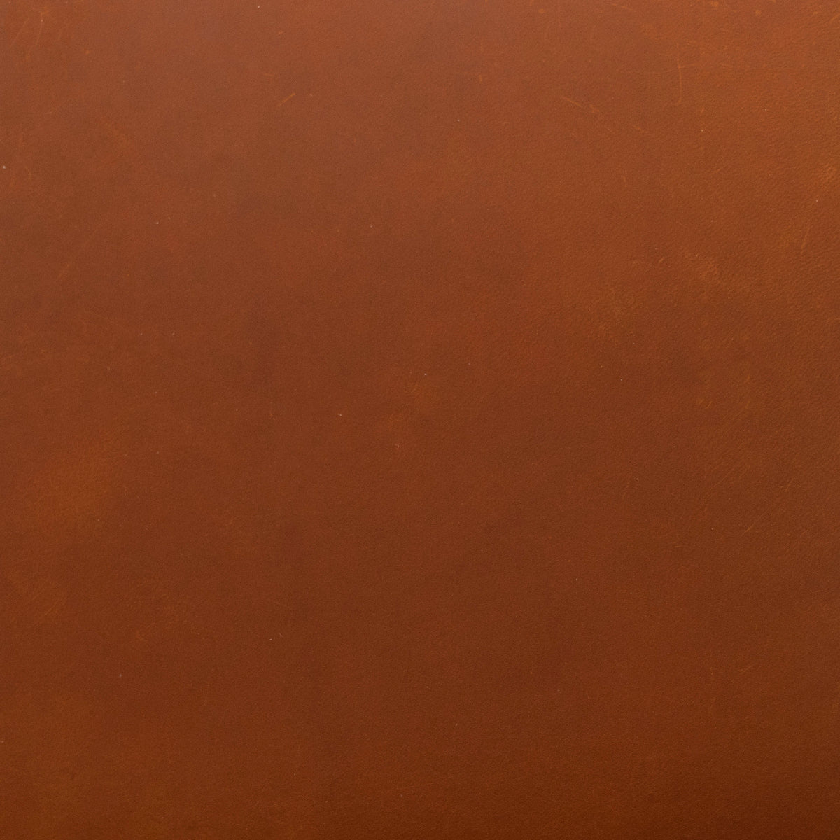 Triumph Leather Side, Rustic