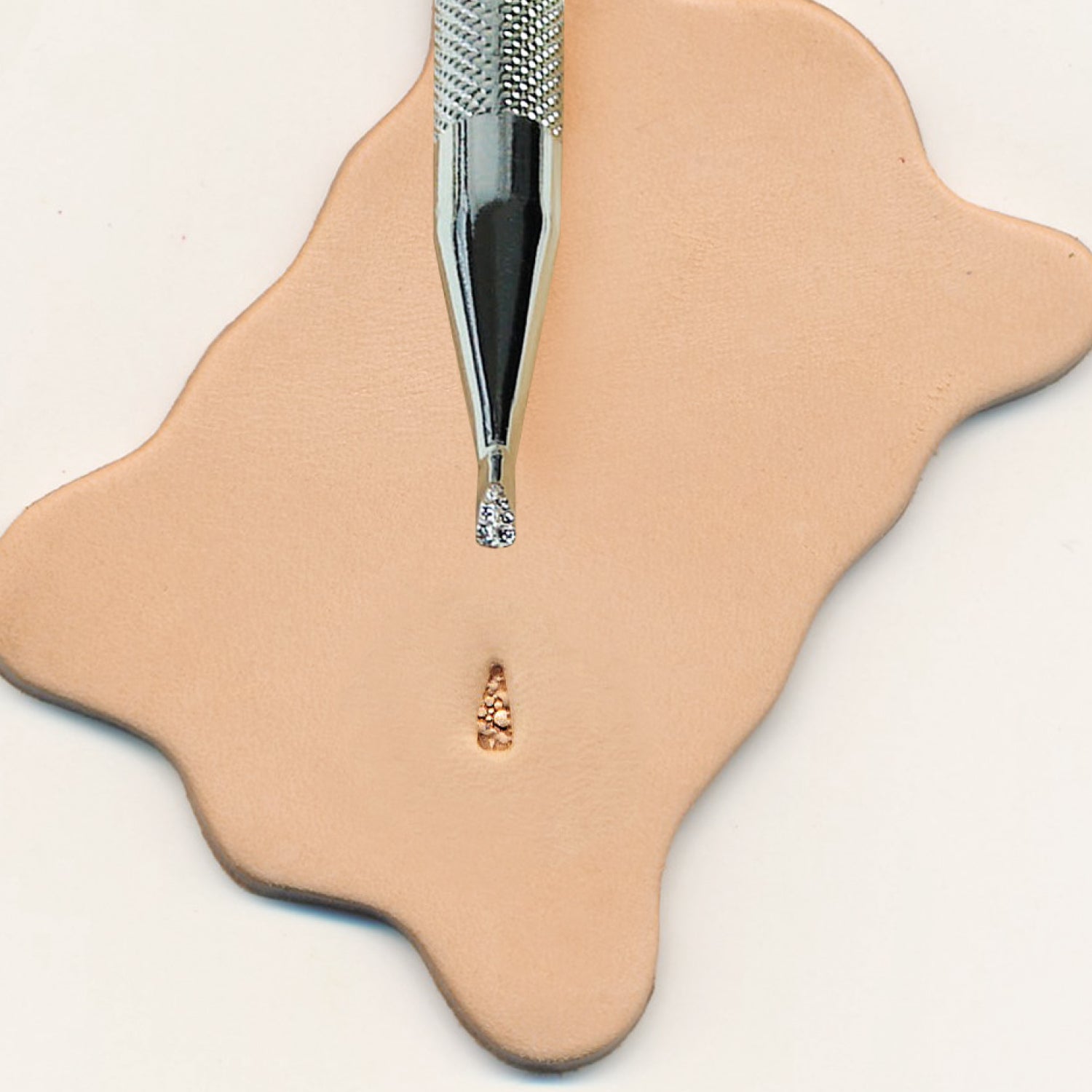 PA003 Backgrounder Stamping Tool