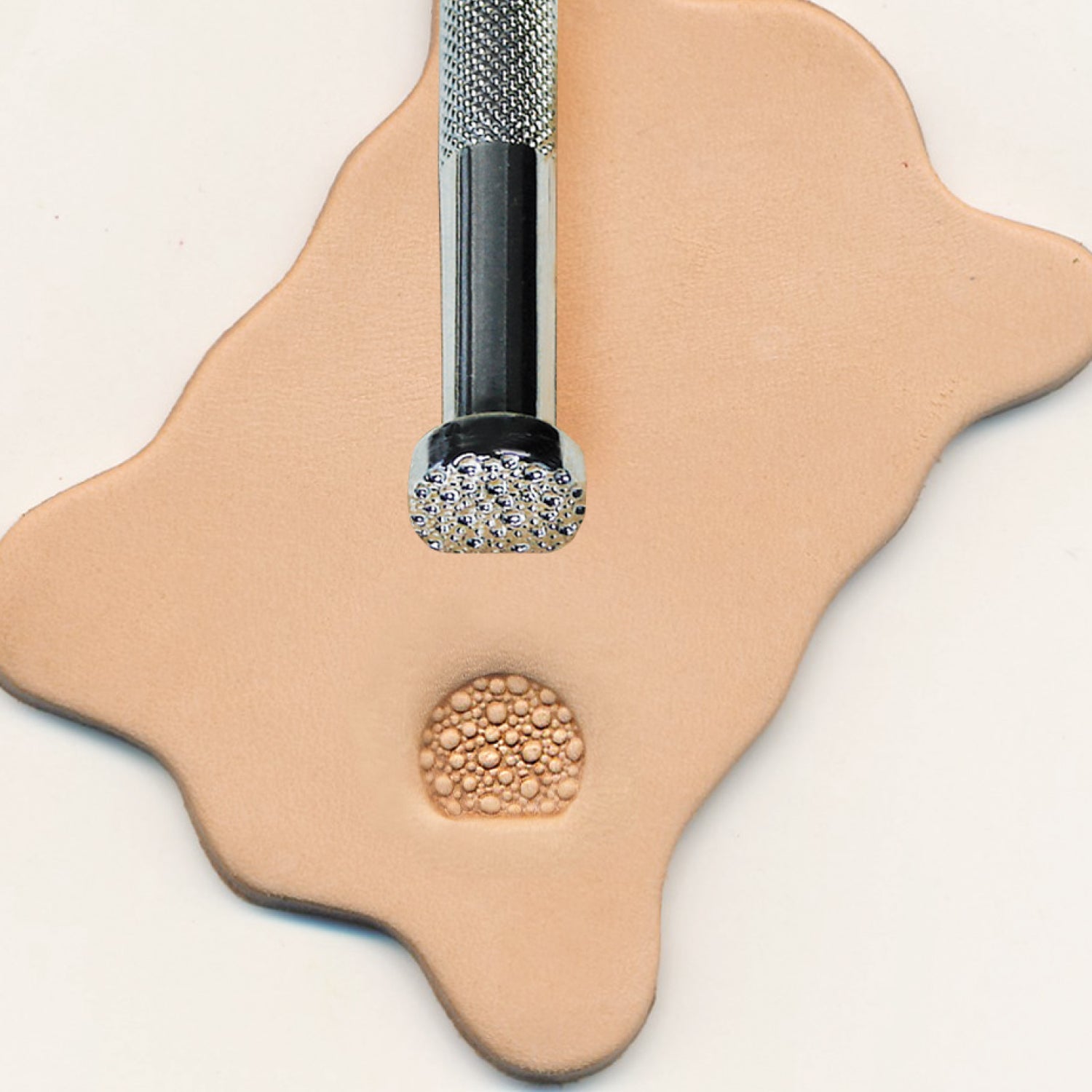 PA005 Backgrounder Stamping Tool
