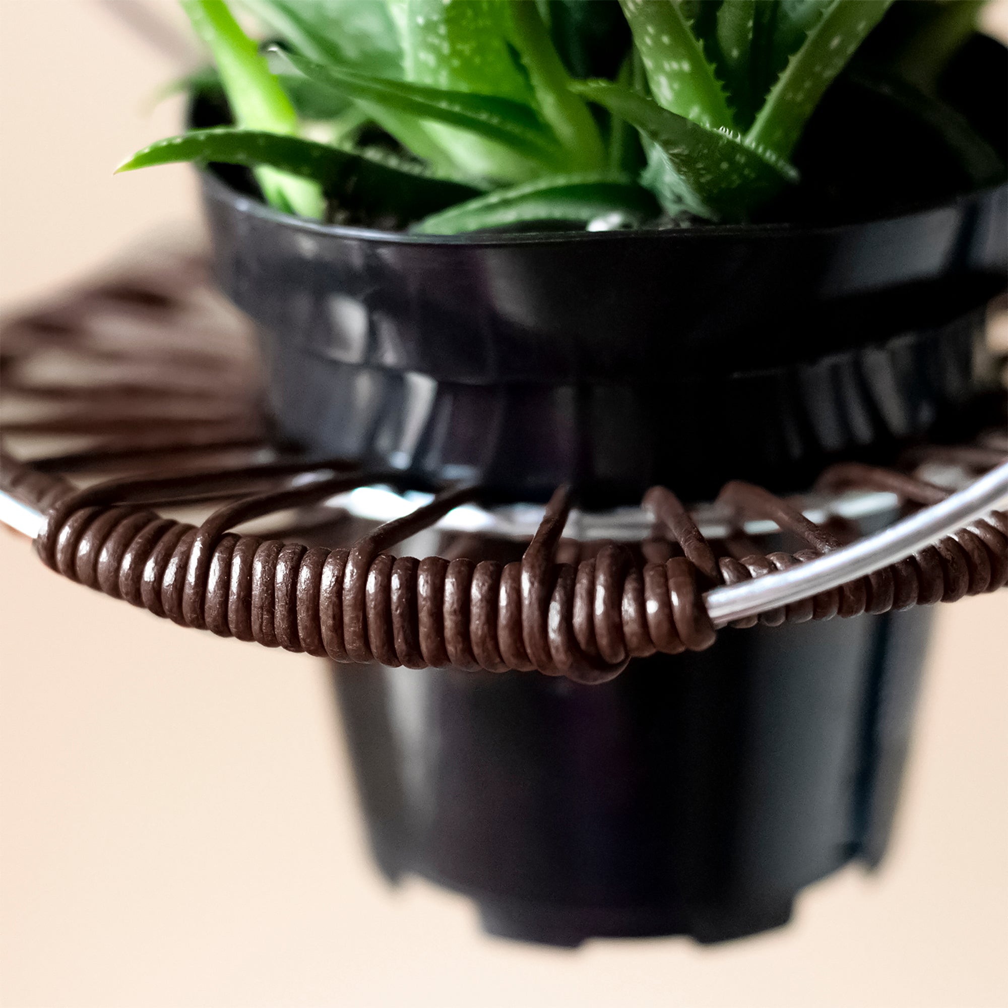 Round Lace Spool, 2 mm x 25 yd. Mahogany