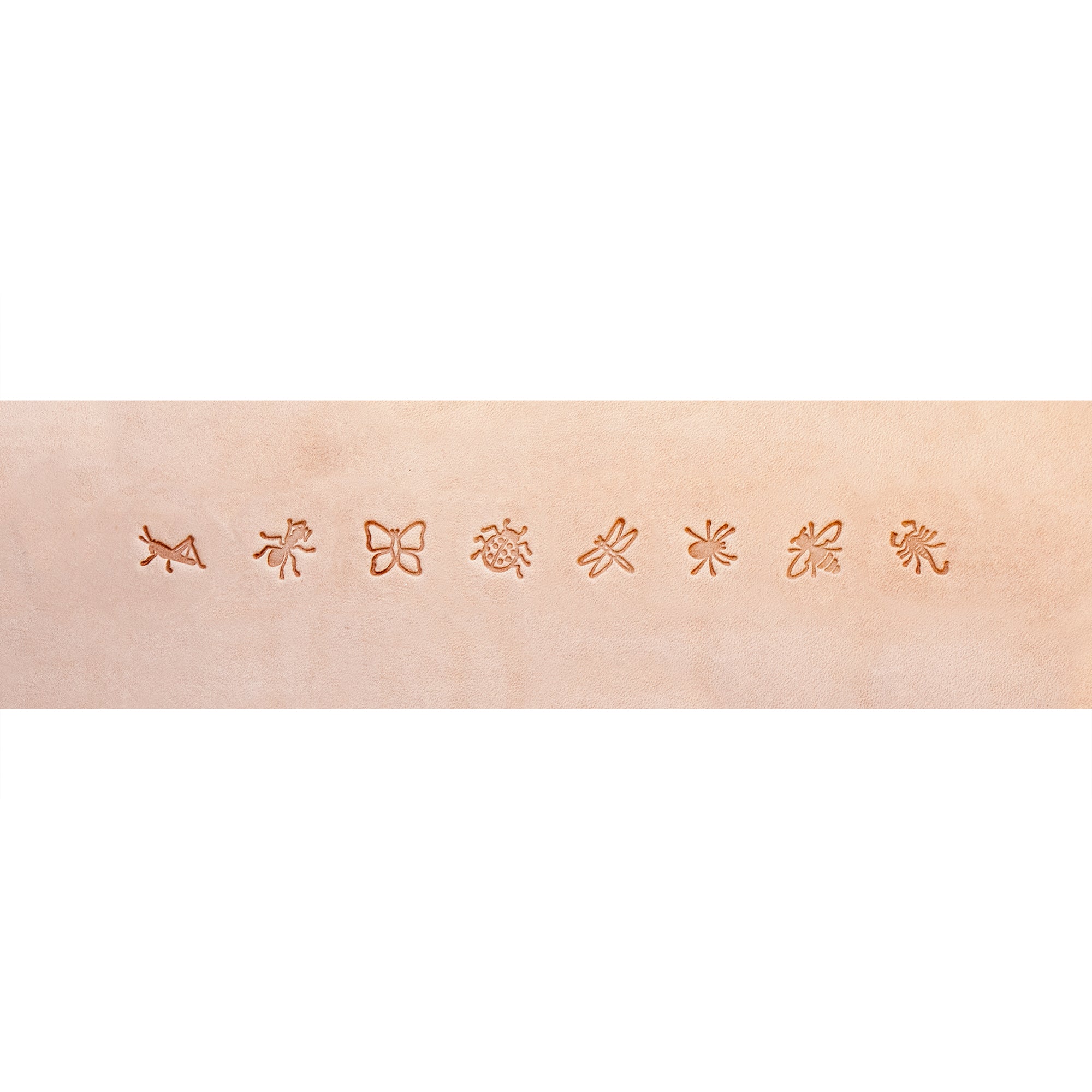 Bugs Stamp Set