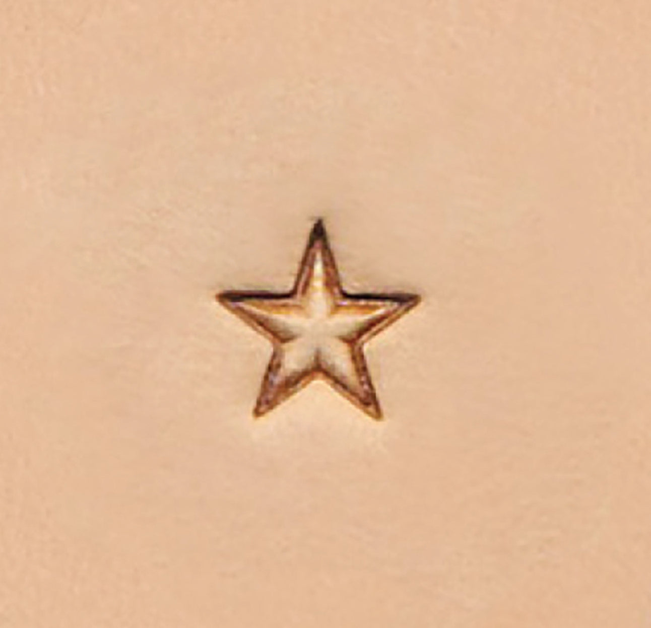 Z610 Star Shape Stamping Tool
